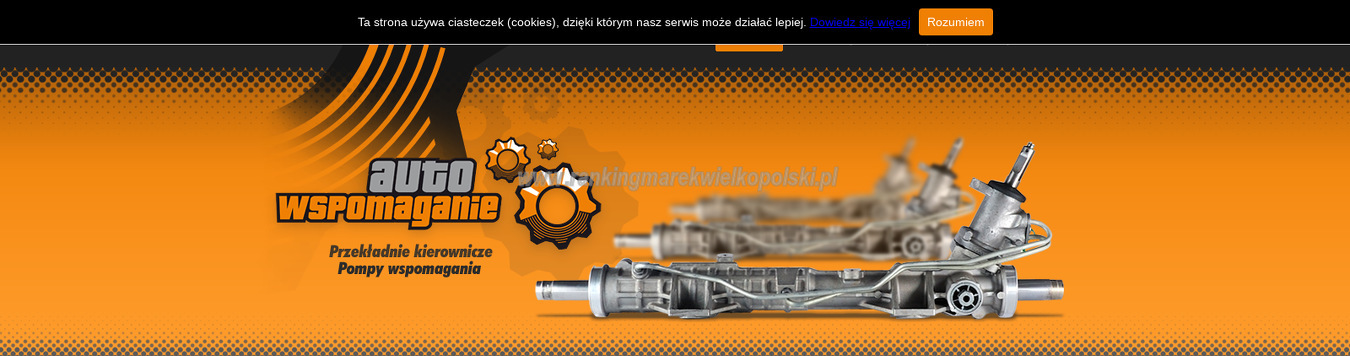 auto-wspomaganie