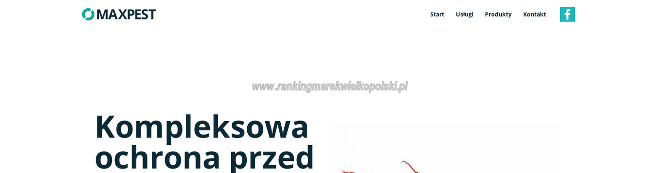 maxpest-grzegorz-zwolinski