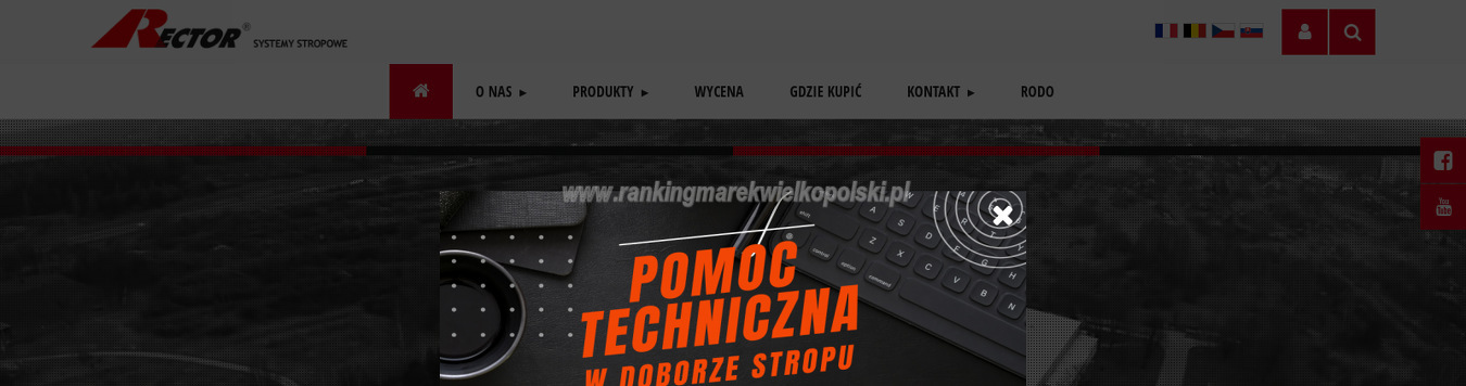rector-polska-sp-z-o-o