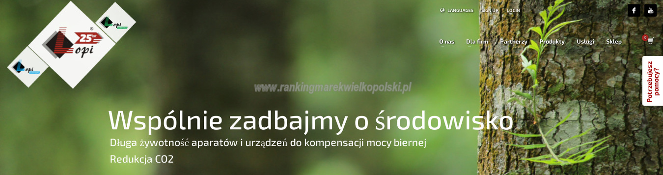 lopi-anuszkiewicz-i-trzecinscy-spolka-jawna