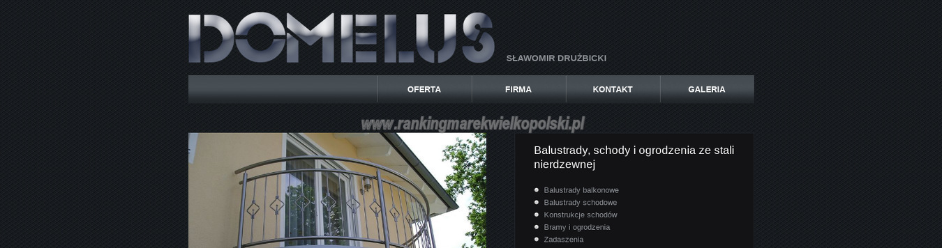 ppu-domelus-slawomir-druzbicki