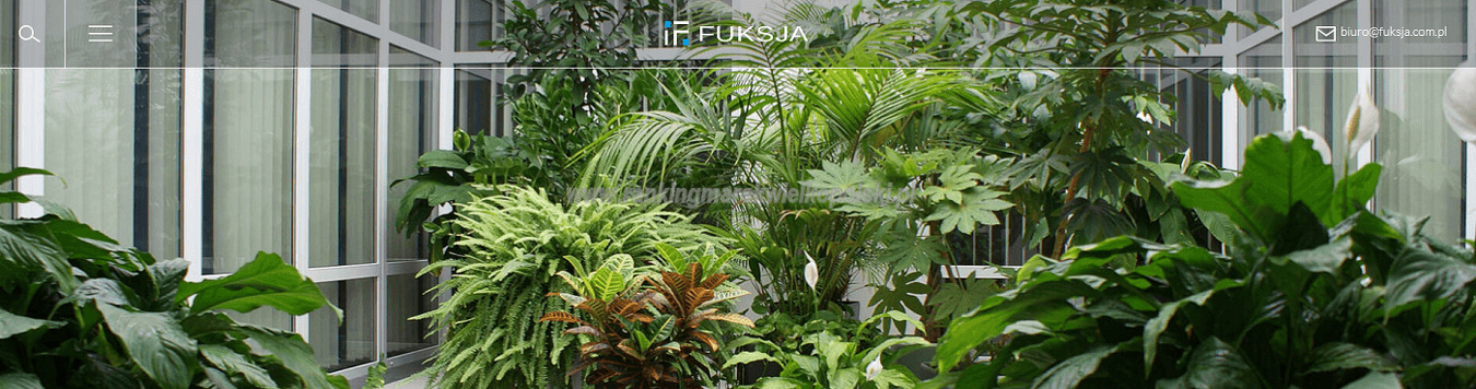 pph-fuksja