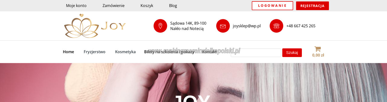 joy-ewa-zalewska