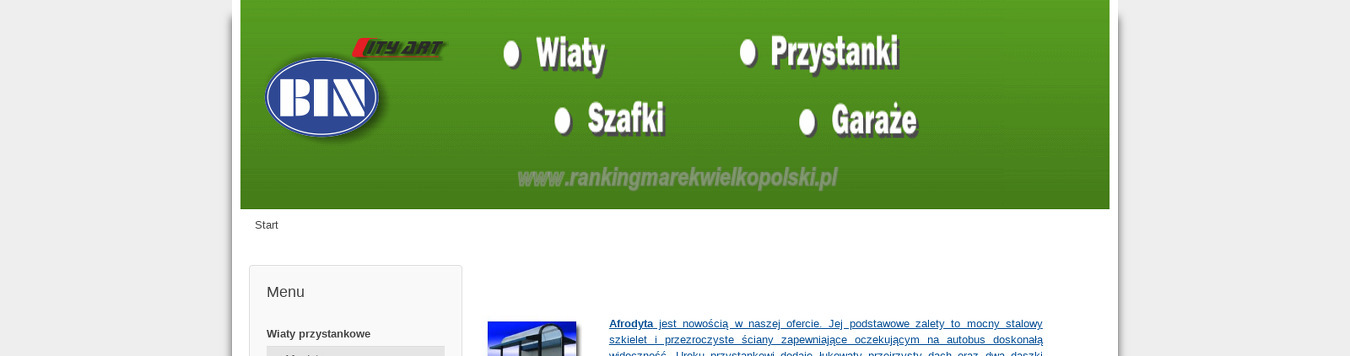 bin-sp-z-o-o-w-aleksandrowie-kujawskim