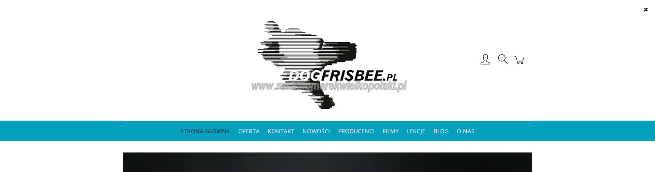 dogfrisbee-pl