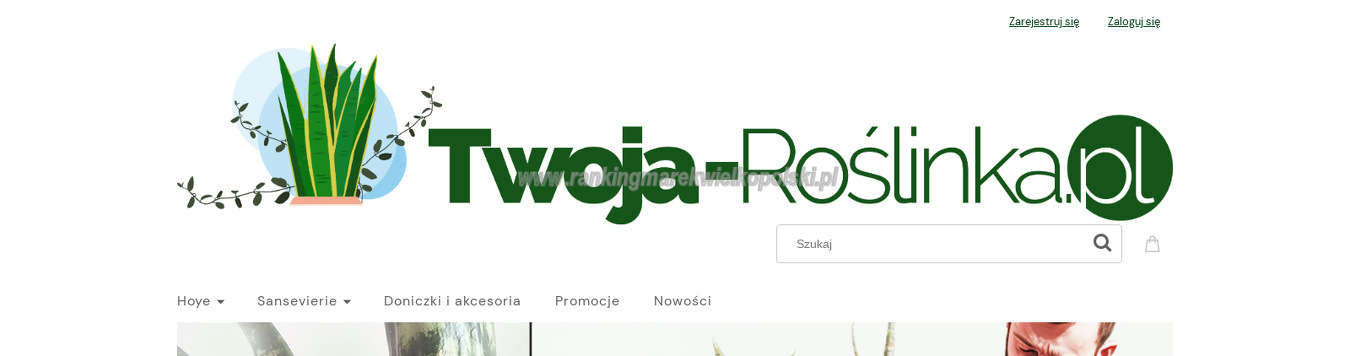 twoja-roslinka-pl-p-w-kosk-tadeusz-kosk