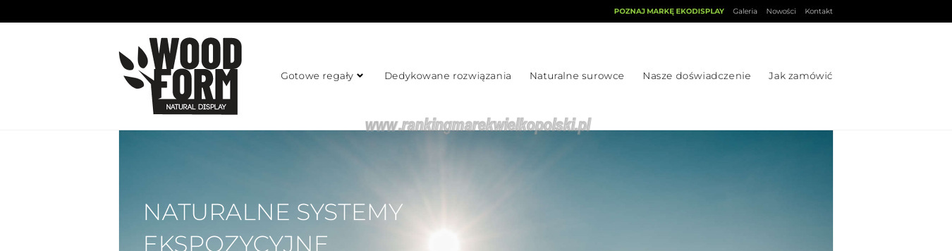 plexiform-display-sp-z-o-o-sp-k