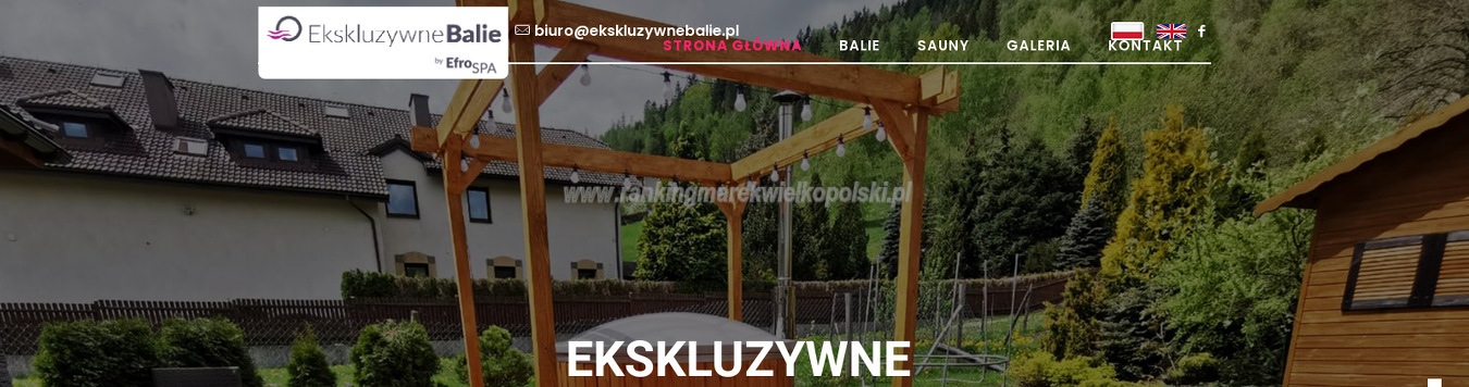 efro-pawel-galecki