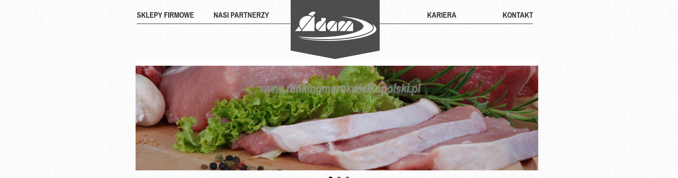 przedsiebiorstwo-handlowo-uslugowe-adam-sp-z-o-o