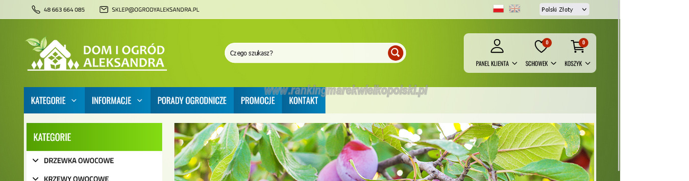 piotr-banaszek-dom-i-ogrod-aleksandra