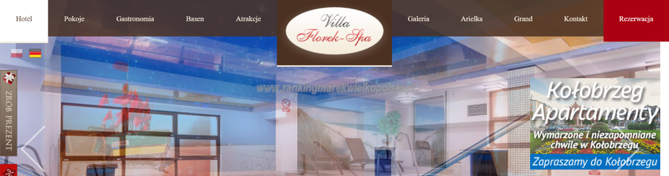 willa-florek