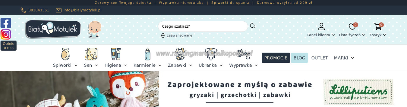 bialy-motylek-magdalena-kwapisiewicz-fraczak