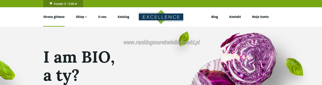 excellence-s-a